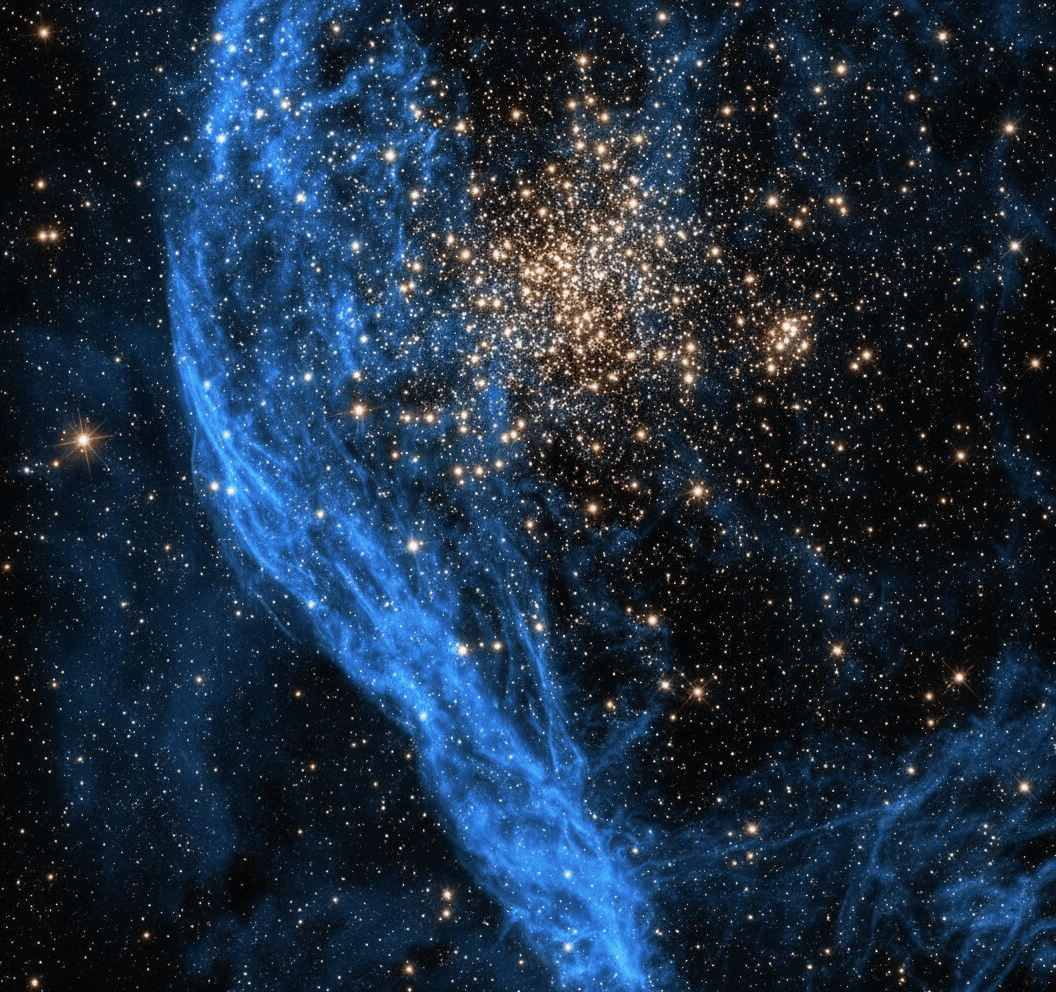 Image courtesy of techtimes